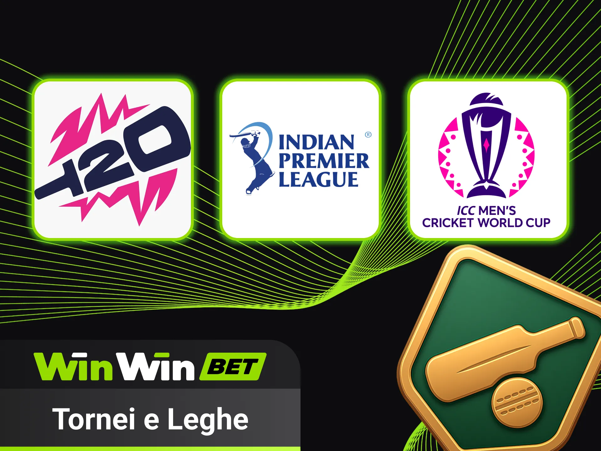 Partecipa a tornei e leghe cricket divertenti su WinWin.